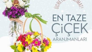 Gaziemir çiçek siparişi